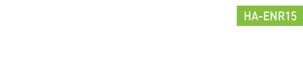 TELECOMMANDE UN BOUTON ET MICRO