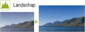 Landschap