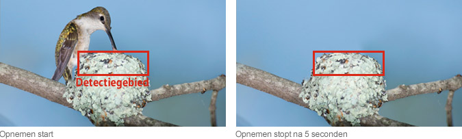 Opnemen start: Detectiegebied > Opnemen stopt na 5 seconden
